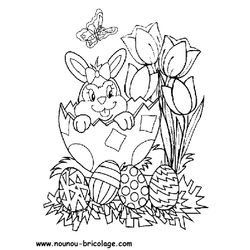 Pascua #25862
