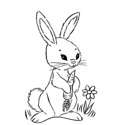 Pascua #25909