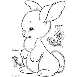 Pascua #25928