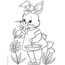 Pascua #25954