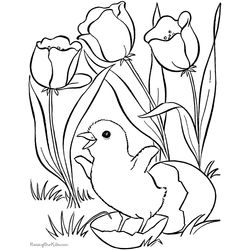 Pascua #25956