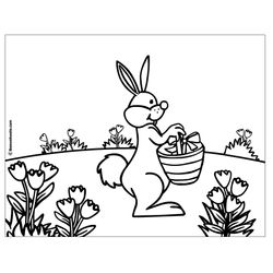 Pascua #25960