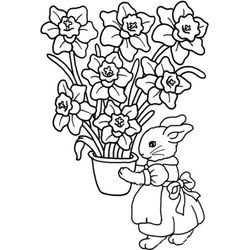 Pascua #25992