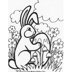 Pascua #26009