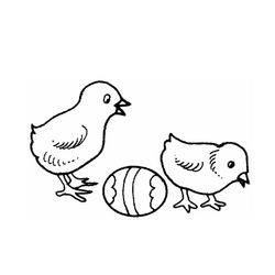 Pascua #26049