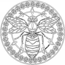 Mandalas Animales #26258