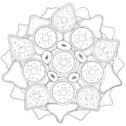 Mandalas Estrella #26388