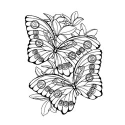 Mandalas Mariposa #26466