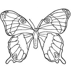 Mandalas Mariposa #26467