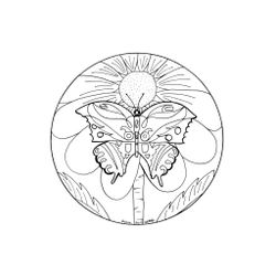 Mandalas Mariposa #26473