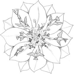 Mandalas para niños #26558