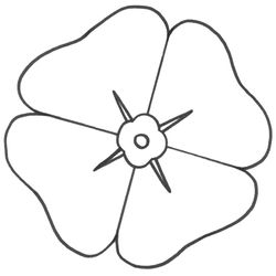 Amapola #26909