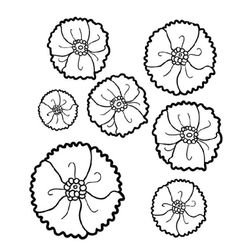 Amapola #26931