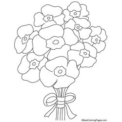 Amapola #26940