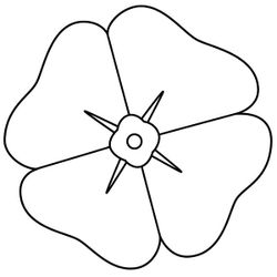 Amapola #26887