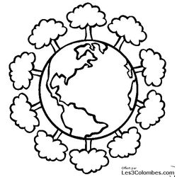 Árbol #26984