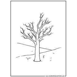 Árbol #26985