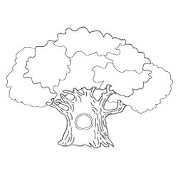Árbol #26986