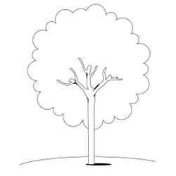 Árbol #26989