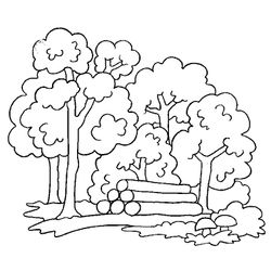 Árbol #26992