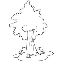 Árbol #27002