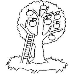 Árbol #27003