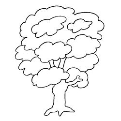 Árbol #27008