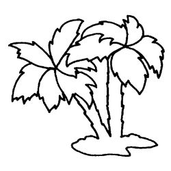 Árbol #27014