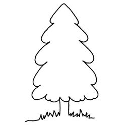 Árbol #27018