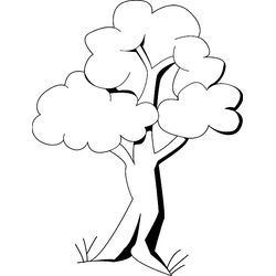 Árbol #27019