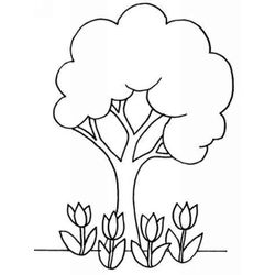 Árbol #27024