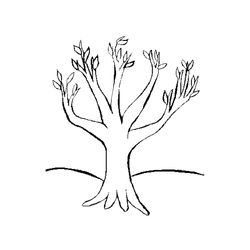 Árbol #27025