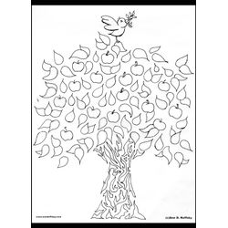 Árbol #27027