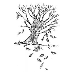 Árbol #27029
