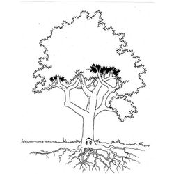 Árbol #27032