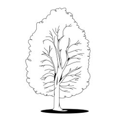 Árbol #27038