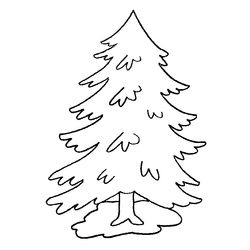 Árbol #27039