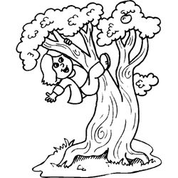 Árbol #27040