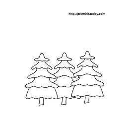 Árbol #27041