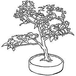 Árbol #27043