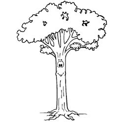 Árbol #27045
