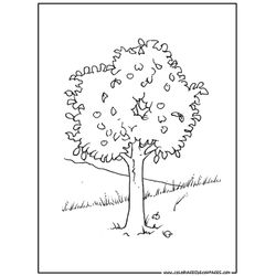 Árbol #27046