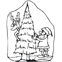 Árbol #27049