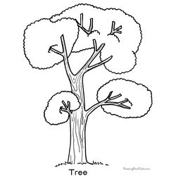 Árbol #27050