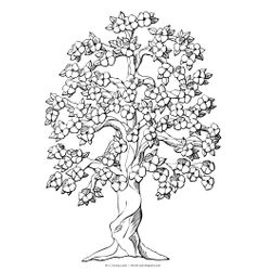 Árbol #27061