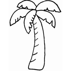 Árbol #27062