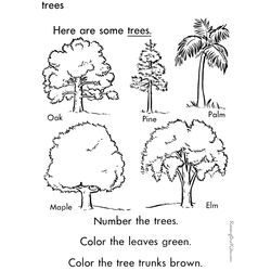 Árbol #27067