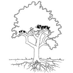 Árbol #27069
