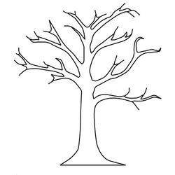 Árbol #27072