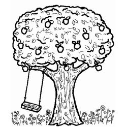 Árbol #27073